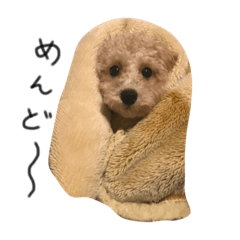 [LINEスタンプ] ゆる〜犬