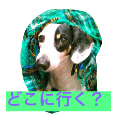 [LINEスタンプ] 日常のまる