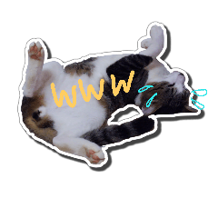 [LINEスタンプ] ミィ＆ニャニャ