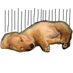 [LINEスタンプ] K a i