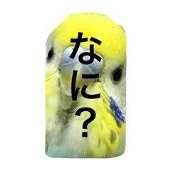 [LINEスタンプ] ピーピーピーちゃん