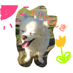 [LINEスタンプ] moko is very cute！