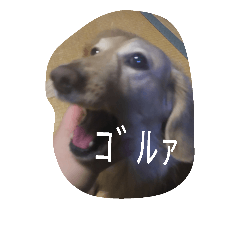 [LINEスタンプ] リアルカイすたんぷ