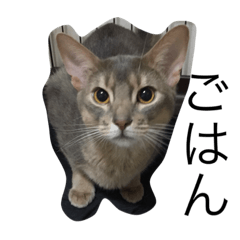 [LINEスタンプ] テツ