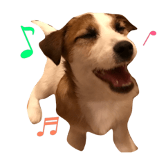 [LINEスタンプ] ジャックラッセルテリアのルーク1