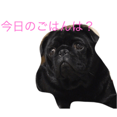 [LINEスタンプ] こてつとはな。