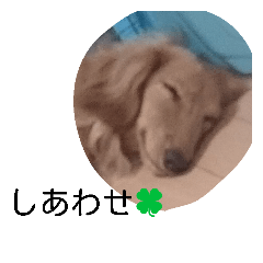 [LINEスタンプ] みんなの会話