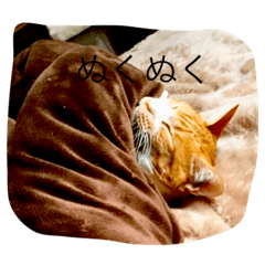 [LINEスタンプ] ププ