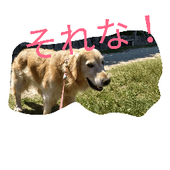 [LINEスタンプ] 気まぐれフリコ