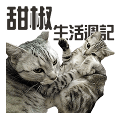 [LINEスタンプ] sweet pepper's dairy life