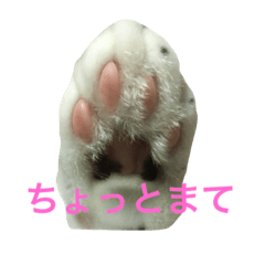 [LINEスタンプ] ちぃ