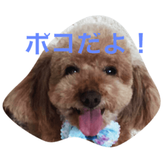 [LINEスタンプ] 我が家のワン