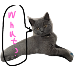 [LINEスタンプ] るーさん特集♡