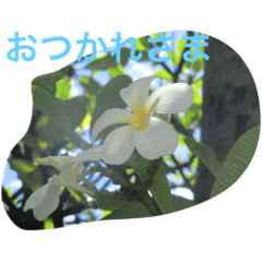 [LINEスタンプ] 癒しの間