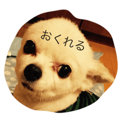 [LINEスタンプ] ハタケ用