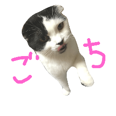 [LINEスタンプ] 折れみみまろる Vol.1