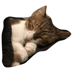 [LINEスタンプ] トゥースさん
