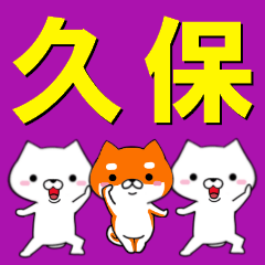 [LINEスタンプ] 超★久保(くぼ・クボ)なイヌ