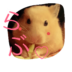 [LINEスタンプ] キンクマハムスターのkimochiすたんぷ
