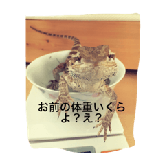 [LINEスタンプ] ふとあごマイさん