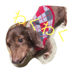 [LINEスタンプ] わがやのこてつ