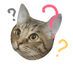 [LINEスタンプ] 猫猫先生！！！