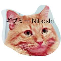 [LINEスタンプ] そらの俺様ひとりごと集 第1弾