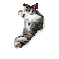 [LINEスタンプ] にゃにゃにゃーん