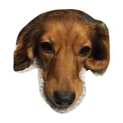 [LINEスタンプ] 犬ちゃ