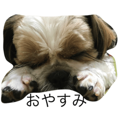 [LINEスタンプ] ガンスタンプ