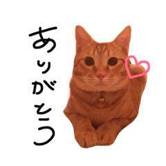 [LINEスタンプ] ルカヨナ