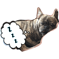[LINEスタンプ] ラムと愉快な仲間達