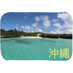 [LINEスタンプ] 沖縄の海と生き物