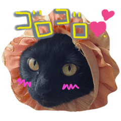 [LINEスタンプ] 黒猫ハルク