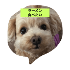 [LINEスタンプ] I,m hungry.
