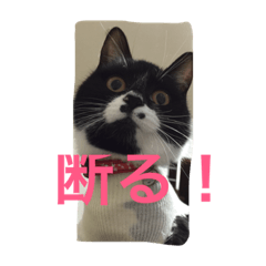 [LINEスタンプ] 白黒ねこのマサラちゃん