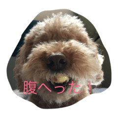 [LINEスタンプ] ベリぃ子