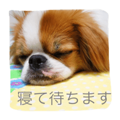 [LINEスタンプ] なゆたん