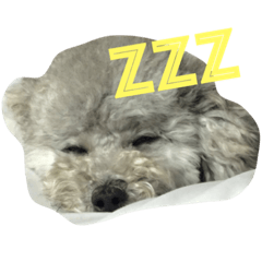 [LINEスタンプ] パズーstamp