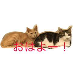 [LINEスタンプ] グーコ＆べべstamp
