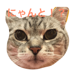 [LINEスタンプ] ペンネ