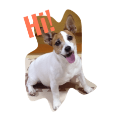 [LINEスタンプ] ちー
