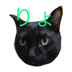 [LINEスタンプ] 黒猫おはぎとなかまたち