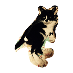 [LINEスタンプ] ねこしろくろ