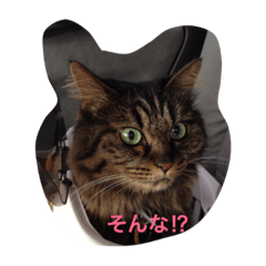 [LINEスタンプ] ニャンロニャンロ