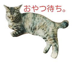 [LINEスタンプ] ちびとあんこと仲間たち