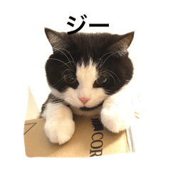[LINEスタンプ] マウくん！