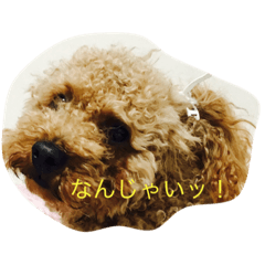 [LINEスタンプ] はるはる