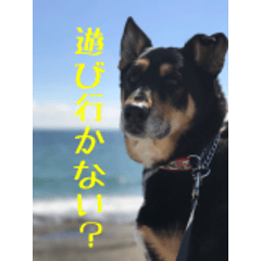 [LINEスタンプ] デイしゃんとムーさん