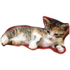 [LINEスタンプ] ツナさーんです。
